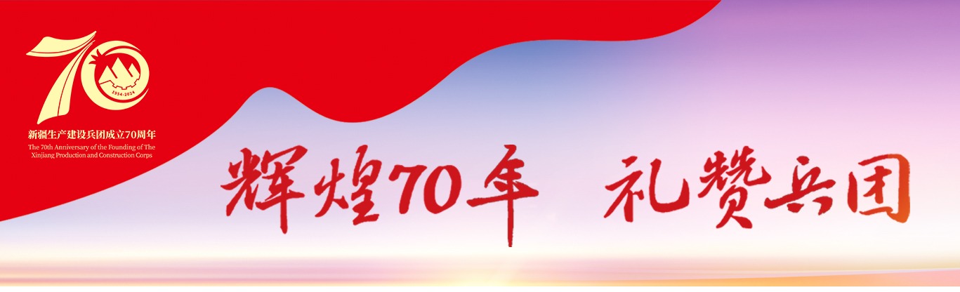 輝煌70年 禮贊兵團